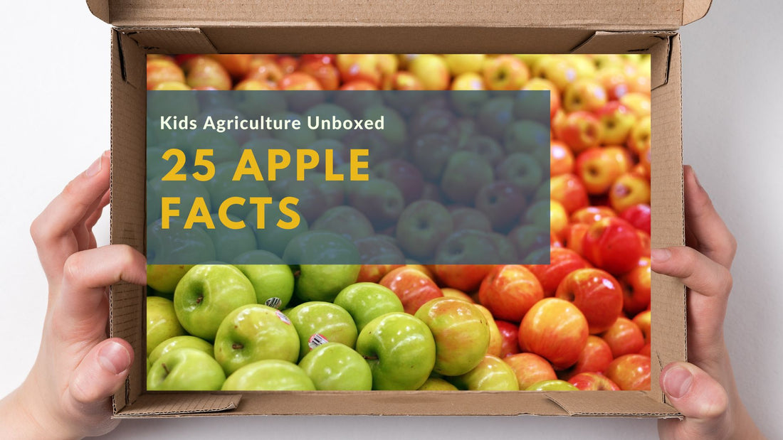 25 Amazing Apple Facts and Apple Industry Insights