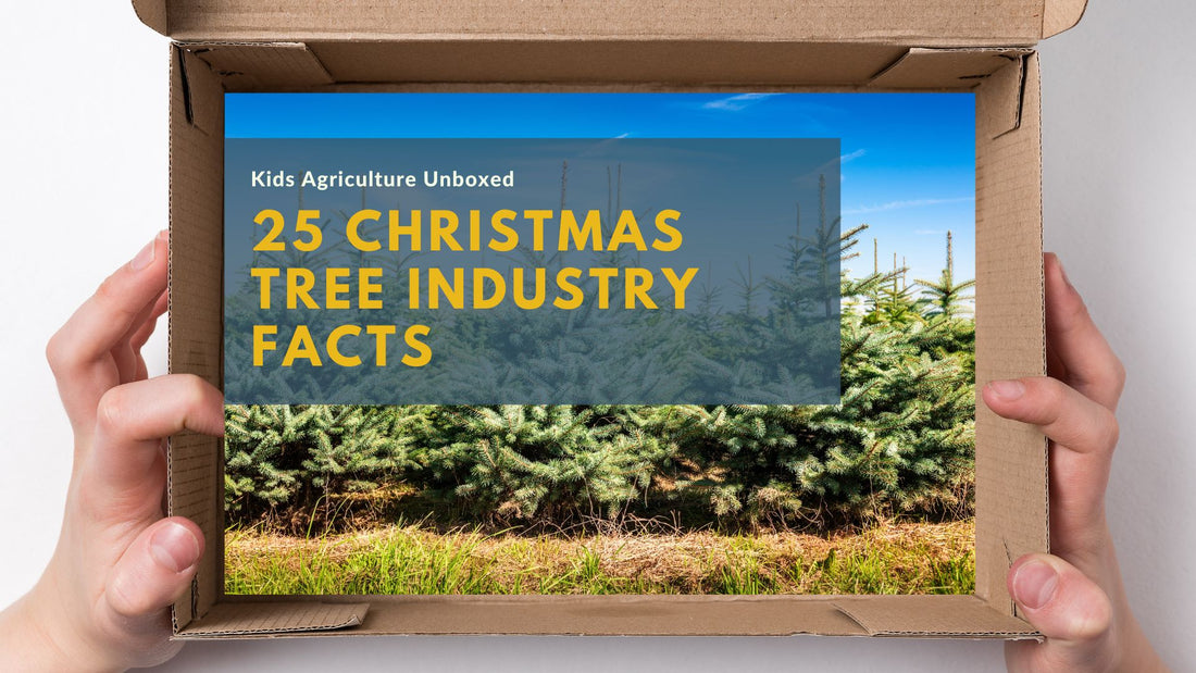 25 Fascinating Christmas Tree Facts and U.S. Industry Insights