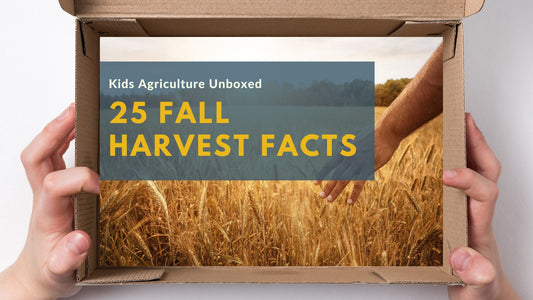 Teaching Youth About Fall Agriculture Harvest: 25 Fascinating Facts