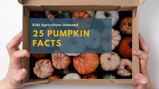 25 Pumpkin Facts and U.S. Pumpkin Industry Insights