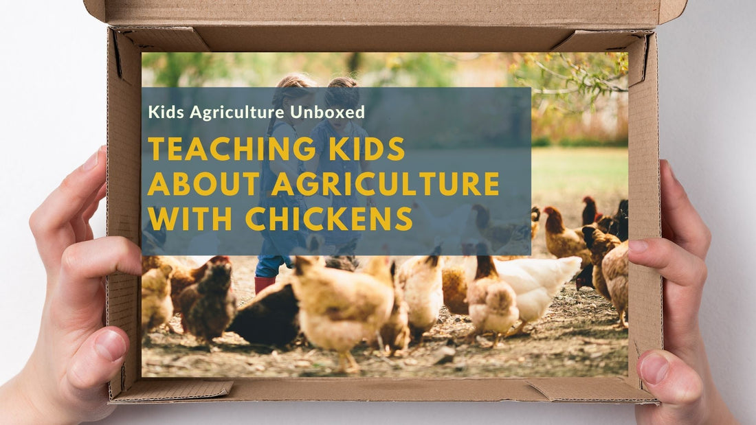 Teaching Kids About Agriculture with Chickens