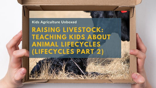 Raising Livestock: Teaching Kids About Animal Lifecycles (Lifecycles Part 2)