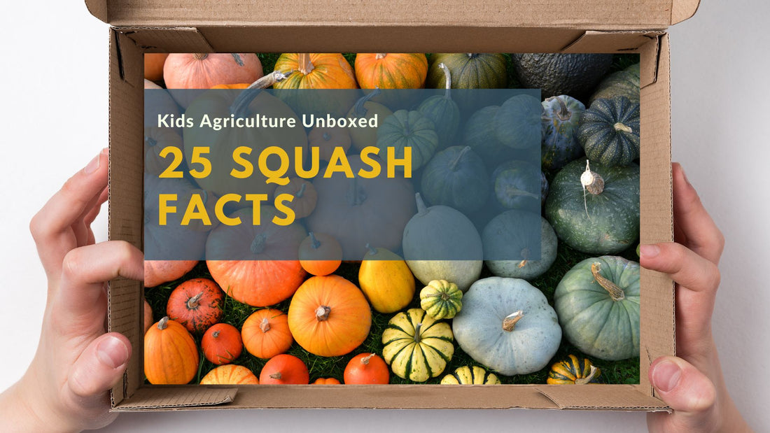 25 Fantastic Squash Facts & U.S. Squash Industry Insights