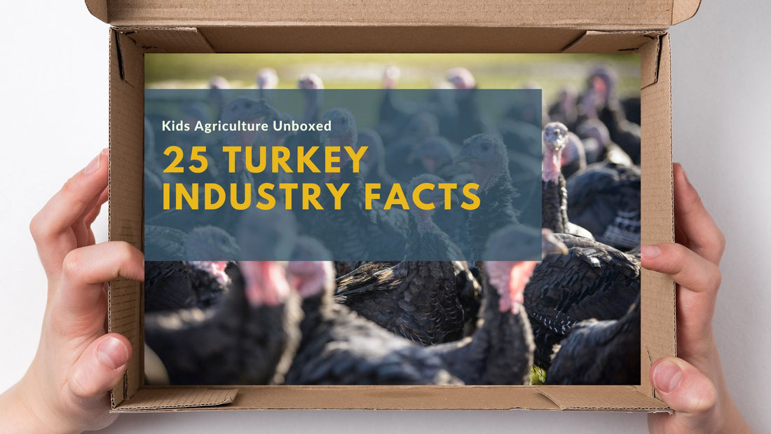 25 Fascinating Turkey Facts and Turkey Industry for Kids