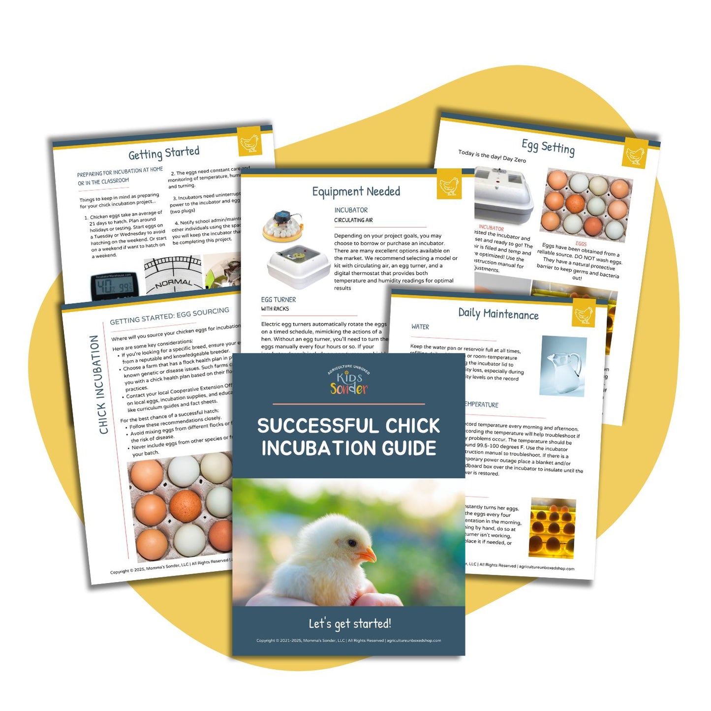 Beginner Chicken Incubation Guide