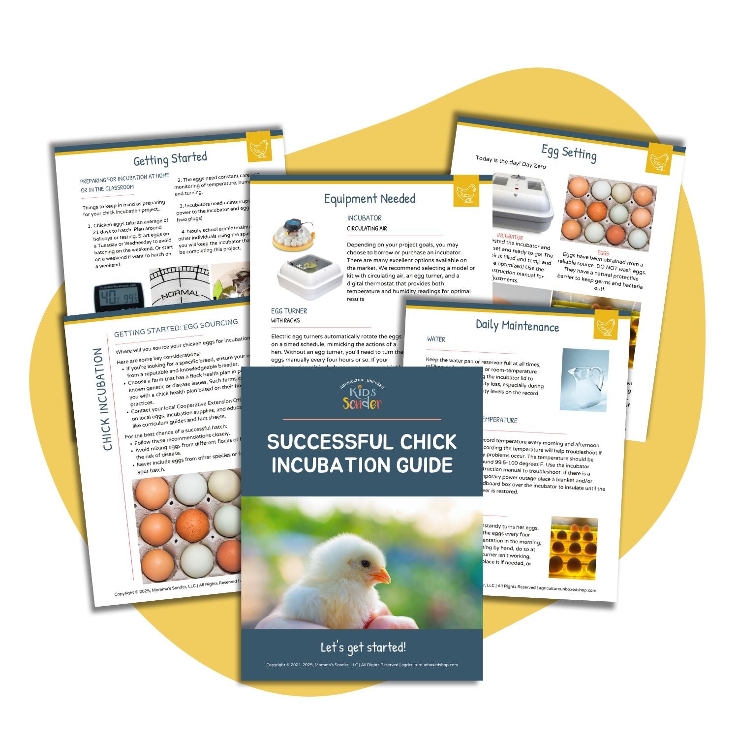 Beginner Chicken Incubation Guide