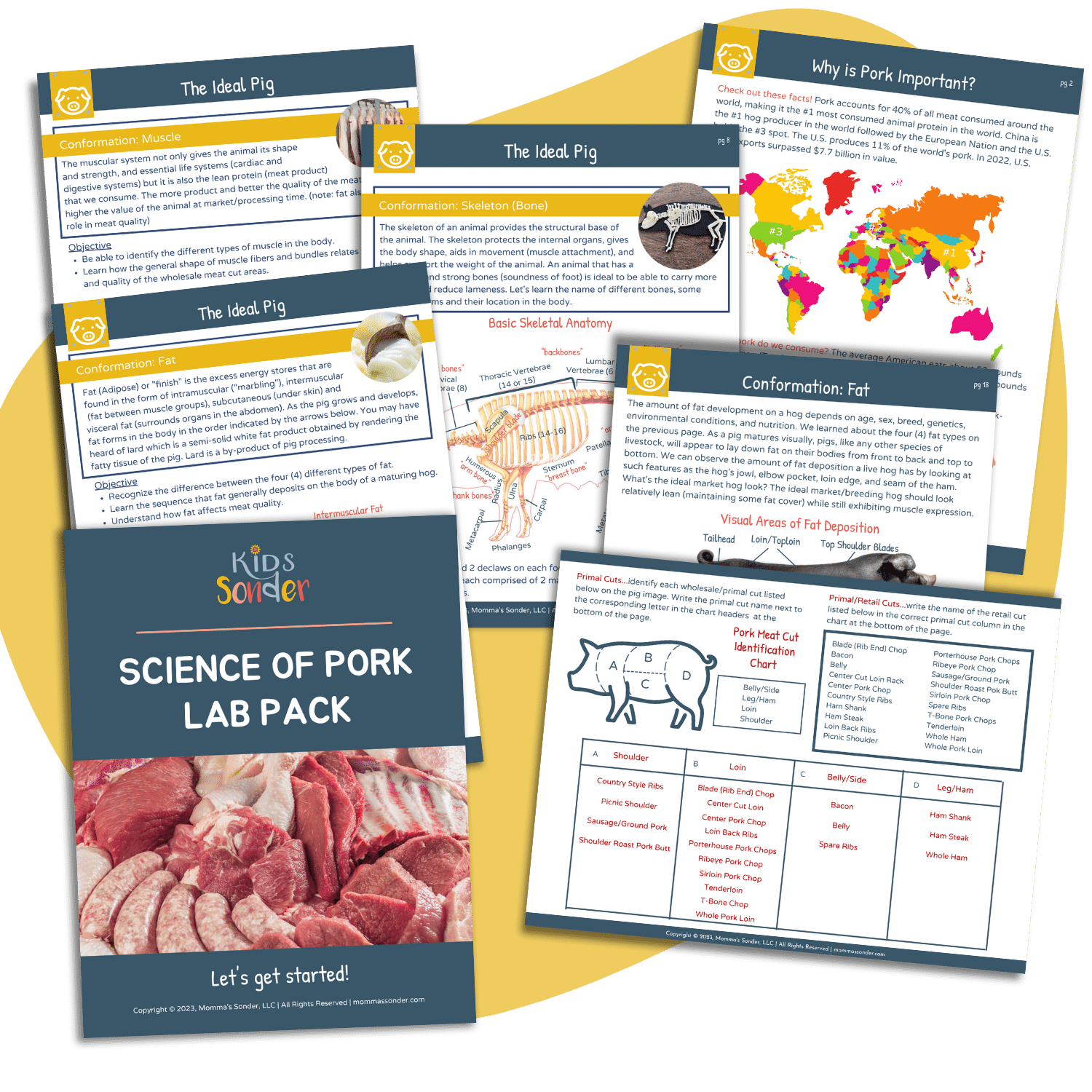 Pork Meat Science Lesson Guide