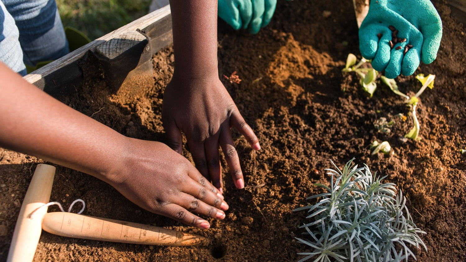 planting in soil