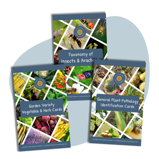 Garden, Insects and Plant Pathology Flashcard Bundle