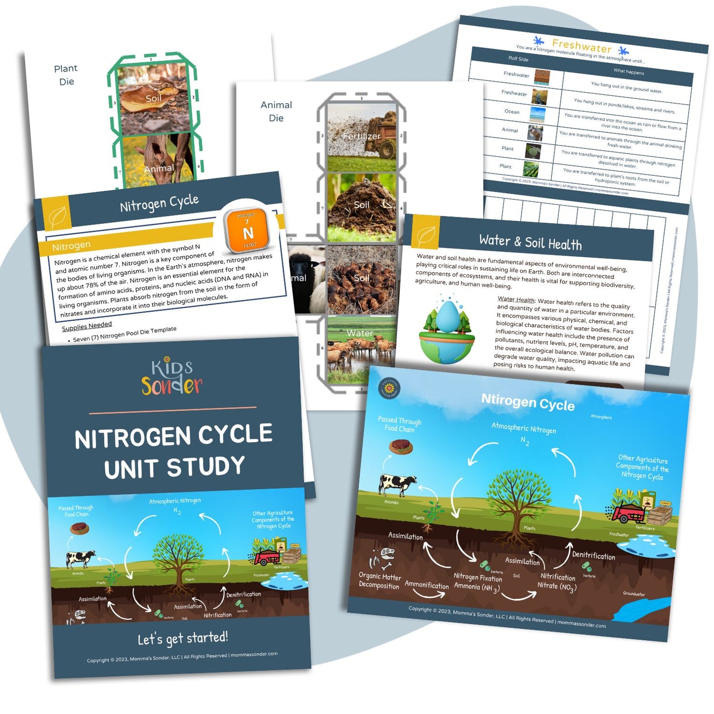 nitrogen cycle lesson guide