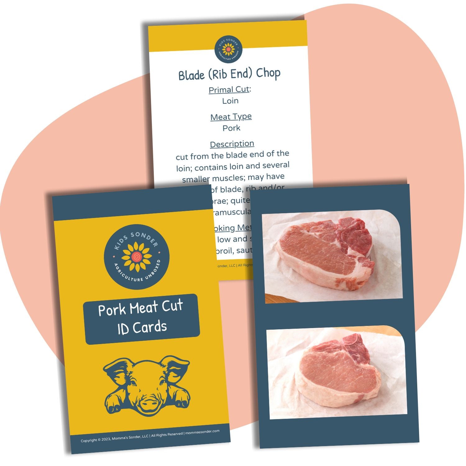 Pork meat cut identifications flashcards