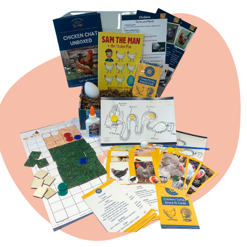 chicken agriculture education learning kit