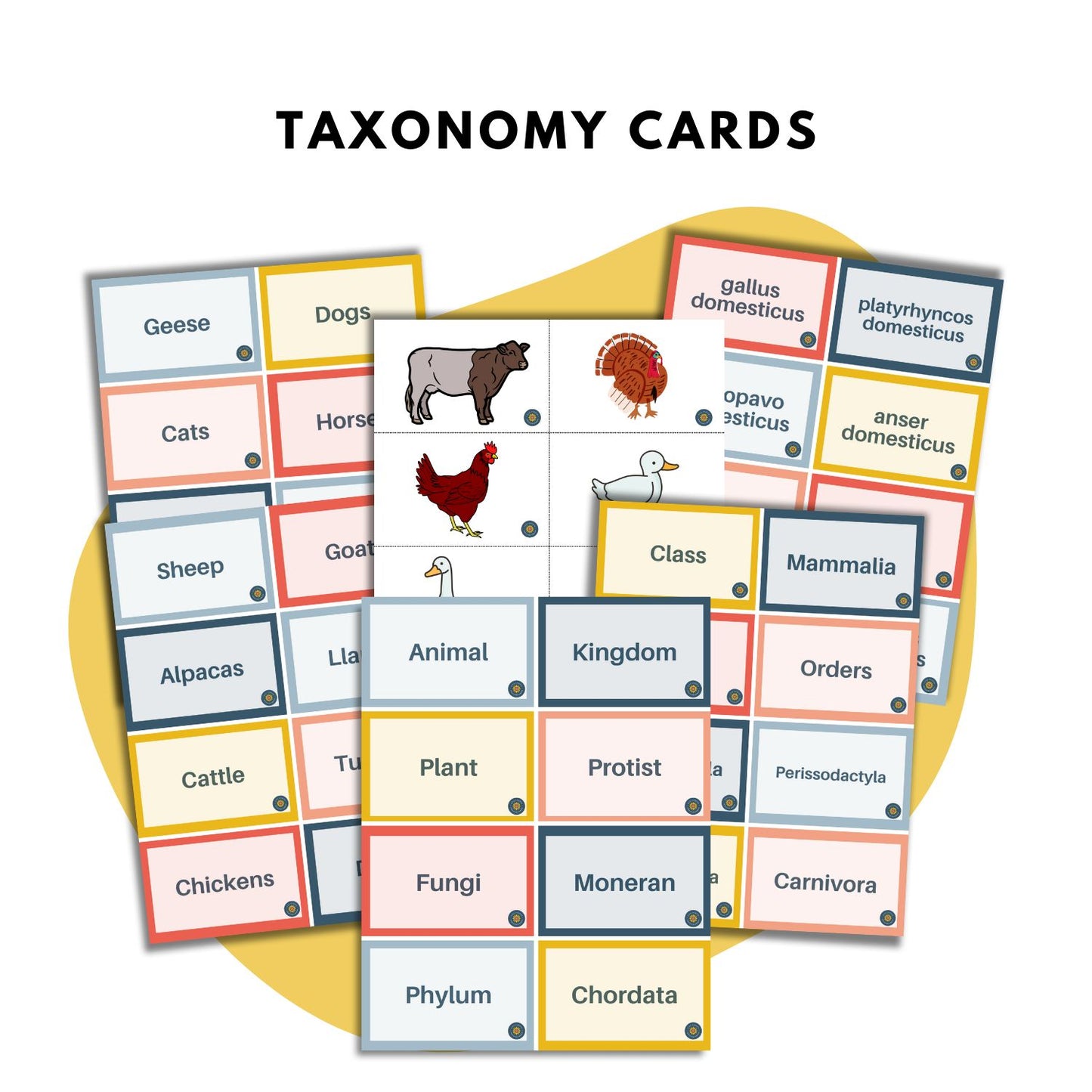 farm animal taxonomy terminolgy cards