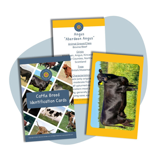 dairy and beef cattle breed flashcards Angus