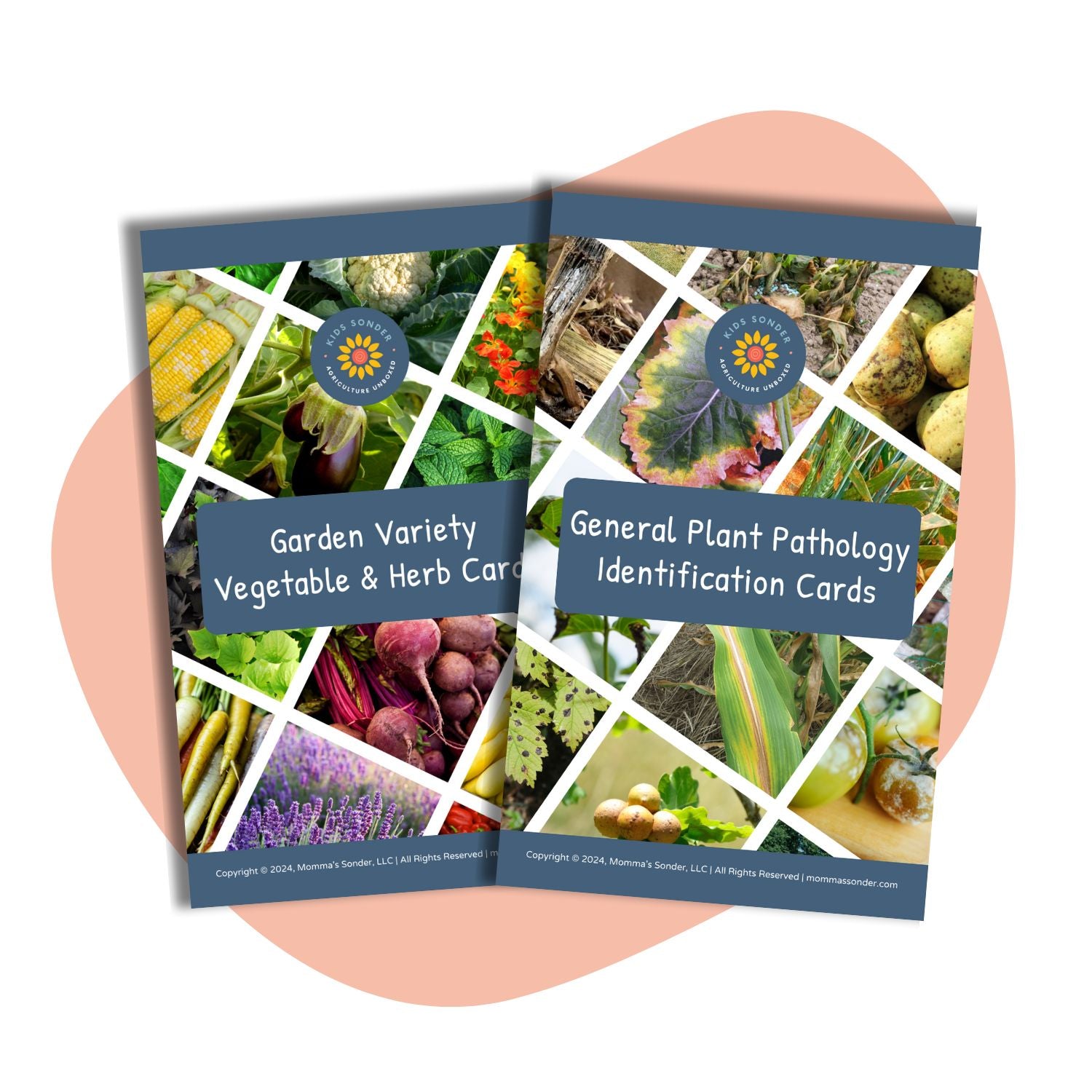 garden plant identification and plant pathology identification flashcards