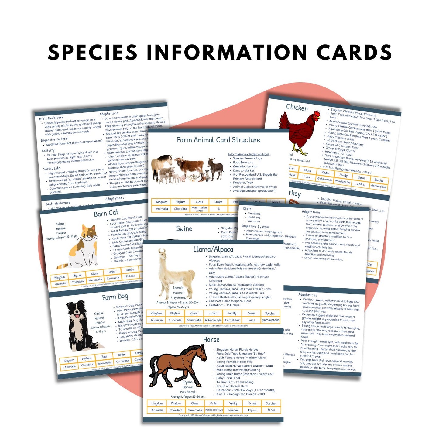 Farm Animal Scecies Terminology Cards