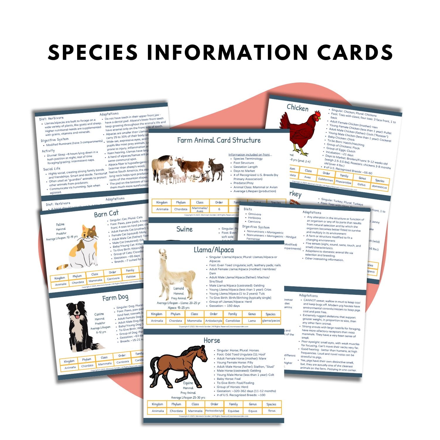 Farm Animal Scecies Terminology Cards