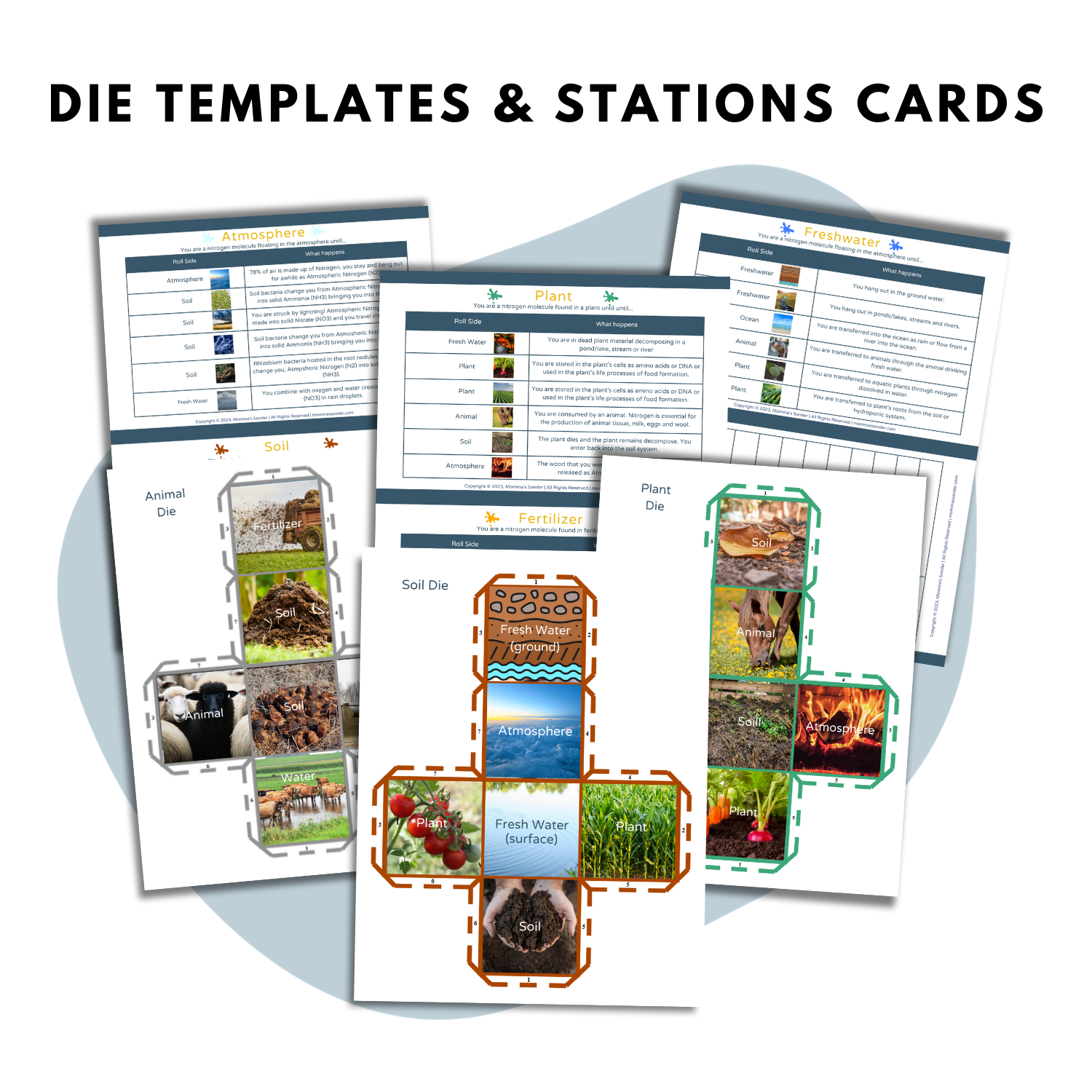 nitrogen cycle lesson guide station templates